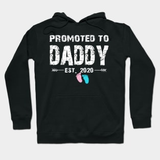 Promoted To Daddy Est. 2020 Funny Father's Day Gifts Hoodie